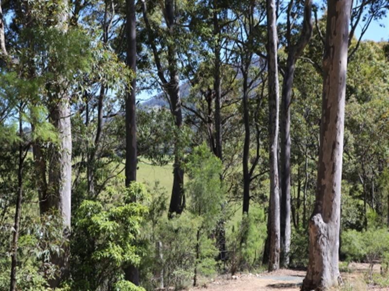 50 Brushgrove Lane, Central Tilba NSW 2546