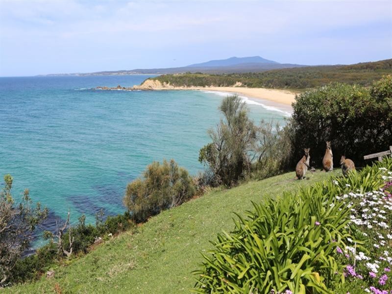 Potato Point NSW 2545