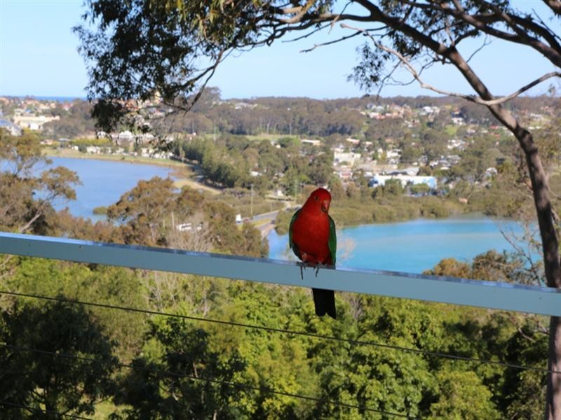 North Narooma NSW 2546