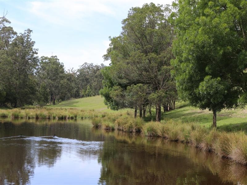 Eurobodalla NSW 2545