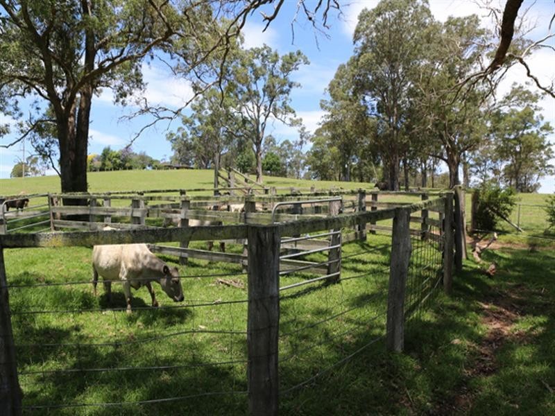 Eurobodalla NSW 2545