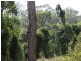 Corunna NSW 2546