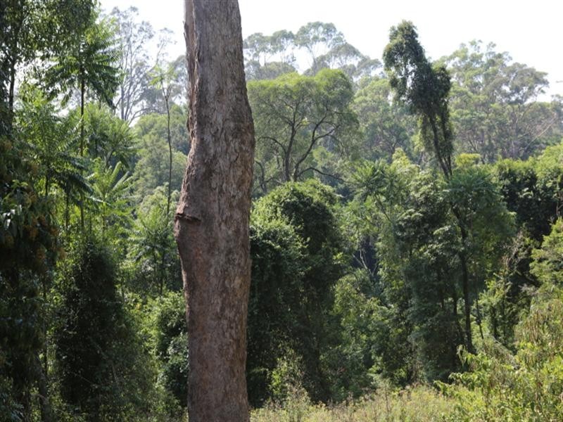 Corunna NSW 2546