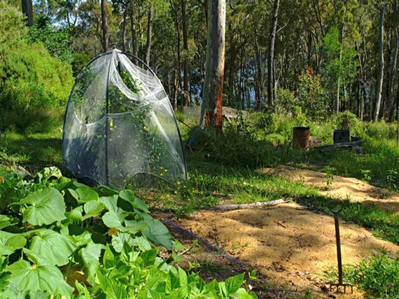 77 Hobbs Point Road, Narooma NSW 2546