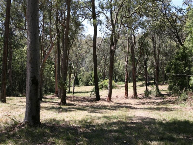 77 Hobbs Point, Narooma NSW 2546