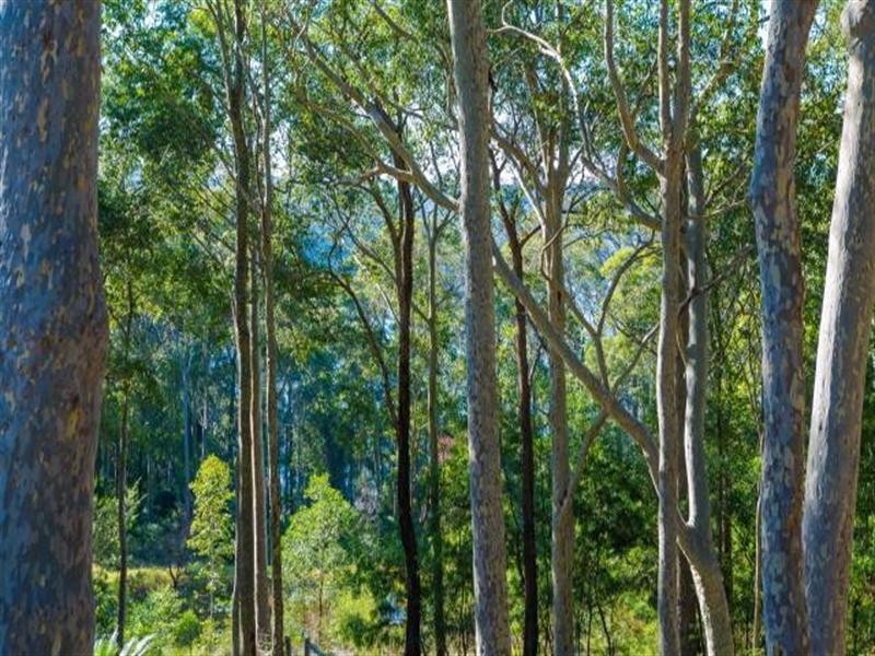 Narooma NSW 2546