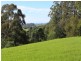 429 Punkalla-Tilba Road, Central Tilba NSW 2546