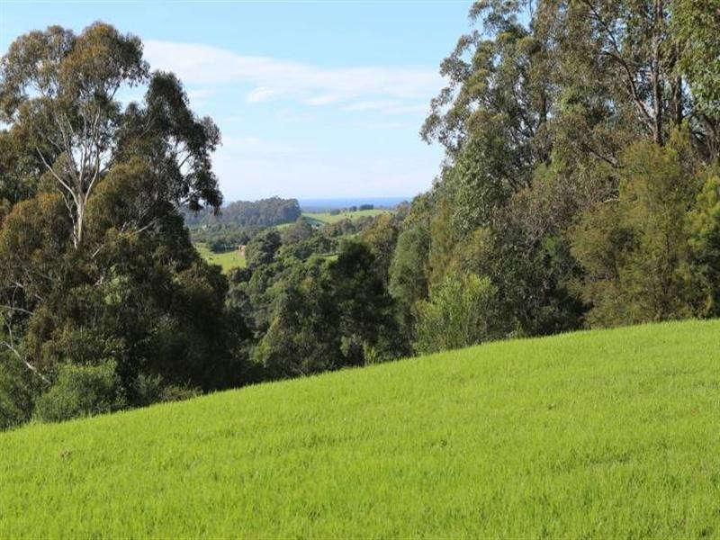 429 Punkalla-Tilba Road, Central Tilba NSW 2546