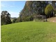 429 Punkalla-Tilba Road, Central Tilba NSW 2546