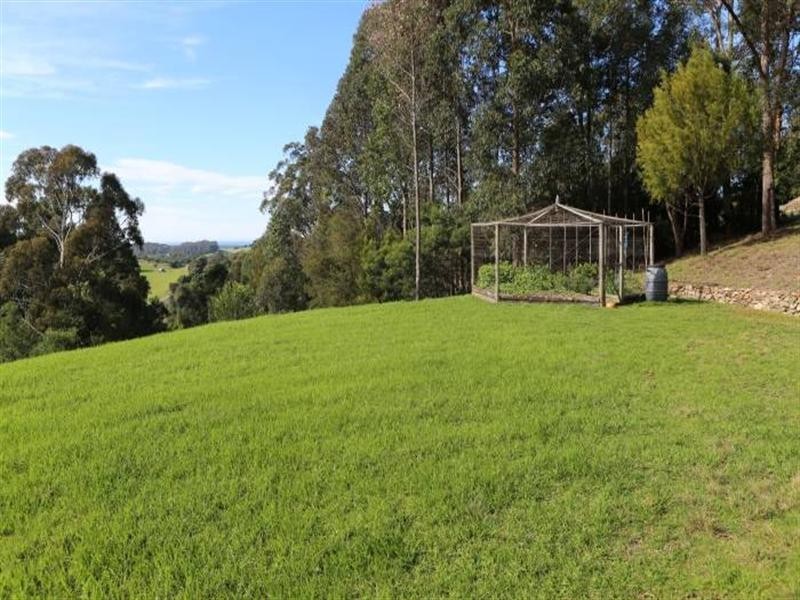 429 Punkalla-Tilba Road, Central Tilba NSW 2546