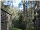 429 Punkalla-Tilba Road, Central Tilba NSW 2546