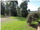 429 Punkalla-Tilba Road, Central Tilba NSW 2546