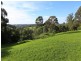 429 Punkalla-Tilba Road, Central Tilba NSW 2546