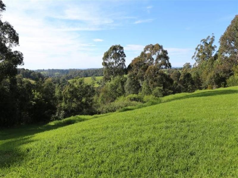 429 Punkalla-Tilba Road, Central Tilba NSW 2546