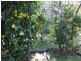 Tilba Tilba NSW 2546