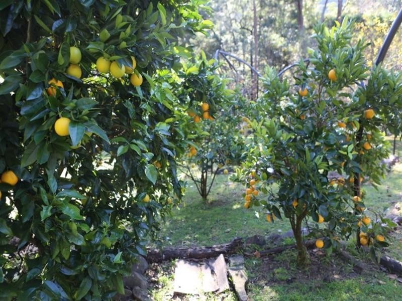 Tilba Tilba NSW 2546