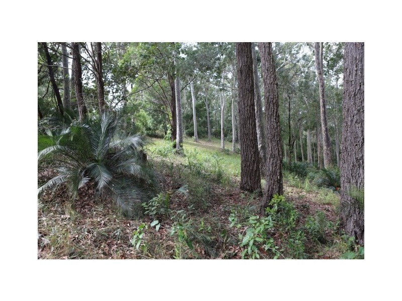Lot 48 Woodlands Drive, Narooma NSW 2546
