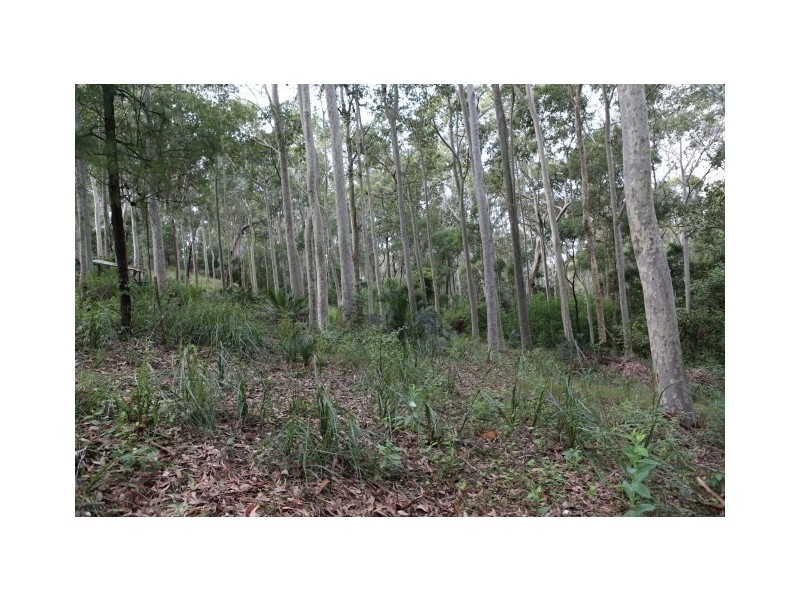 Lot 48 Woodlands Drive, Narooma NSW 2546