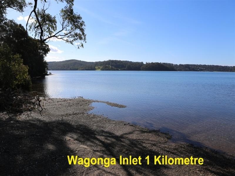 LOT 48 Woodlands Drive, Narooma NSW 2546