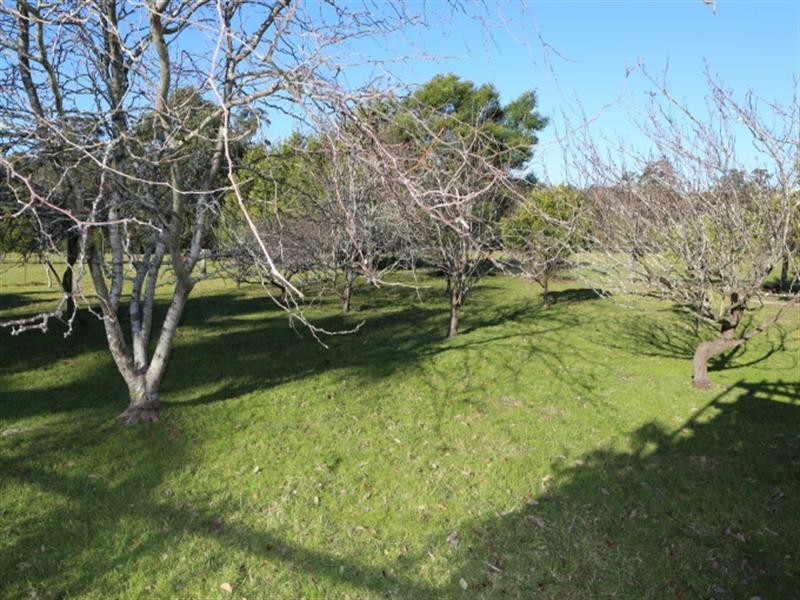 186 Princes Highway, Bodalla NSW 2545