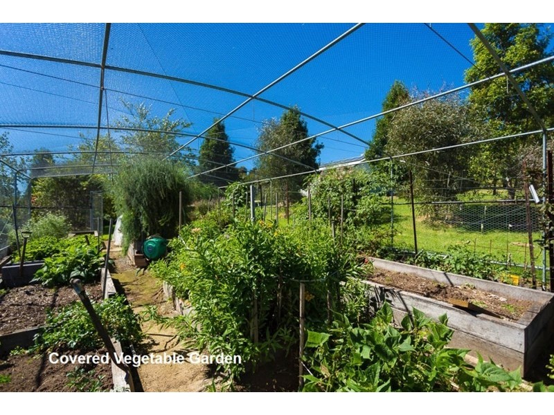 105 Lilyvale Place, Narooma NSW 2546