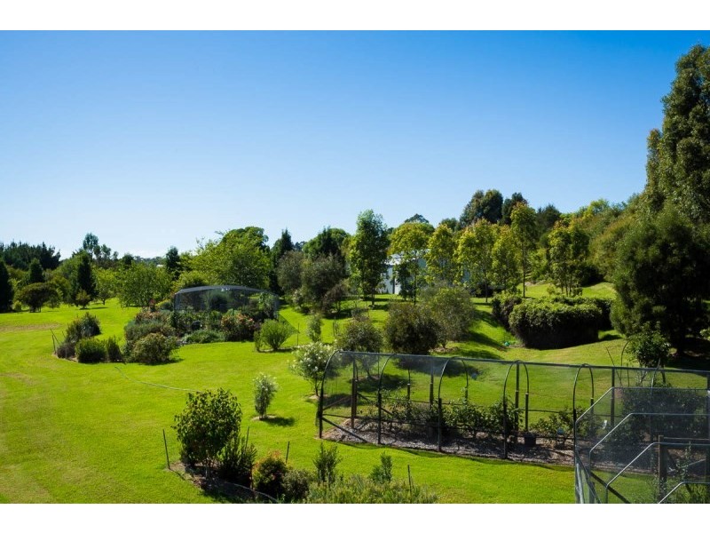 105 Lilyvale Place, Narooma NSW 2546