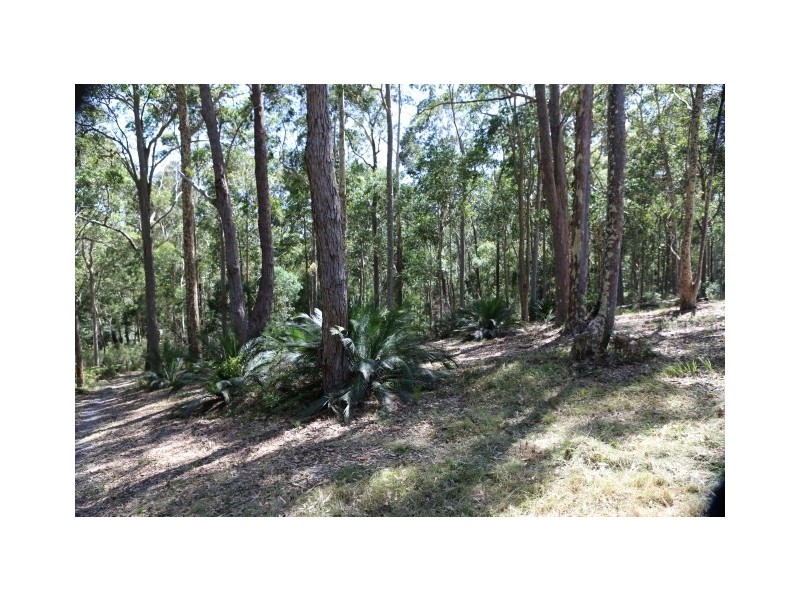 51 Dawn Parade, Kianga NSW 2546