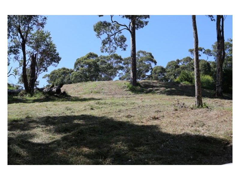 51 Dawn Parade, Kianga NSW 2546