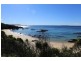 202 Mystery Bay Road, Mystery Bay NSW 2546