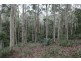 Lot 48 Woodlands Drive, Narooma NSW 2546