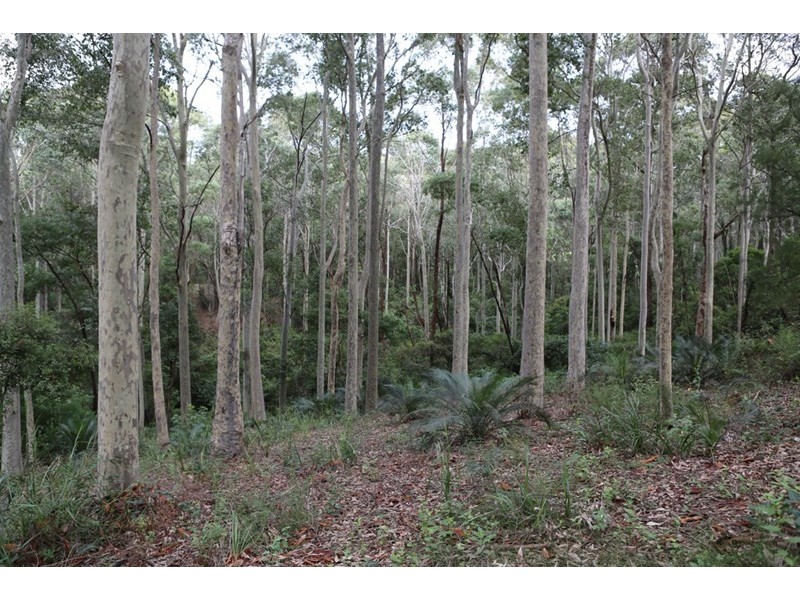 Lot 48 Woodlands Drive, Narooma NSW 2546