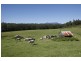 Narooma NSW 2546