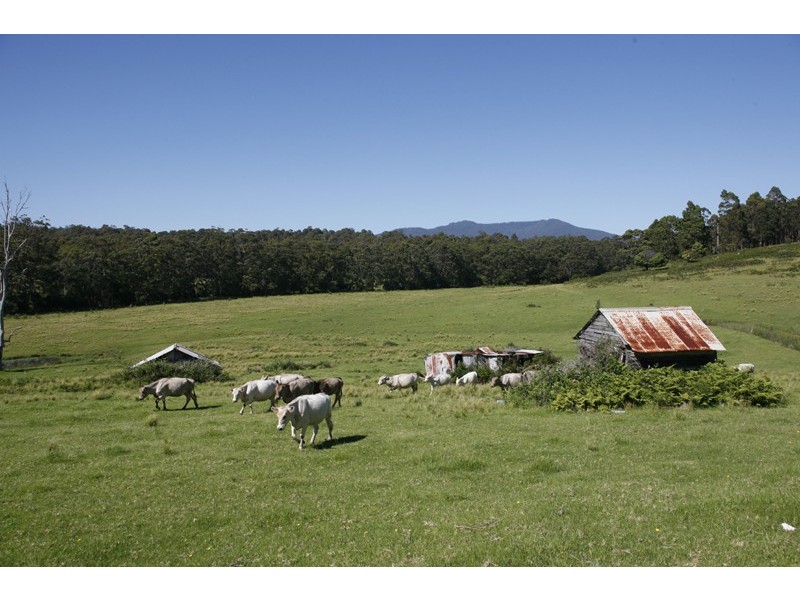 Narooma NSW 2546