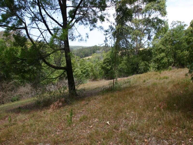 235 Ridge Road, Central Tilba NSW 2546