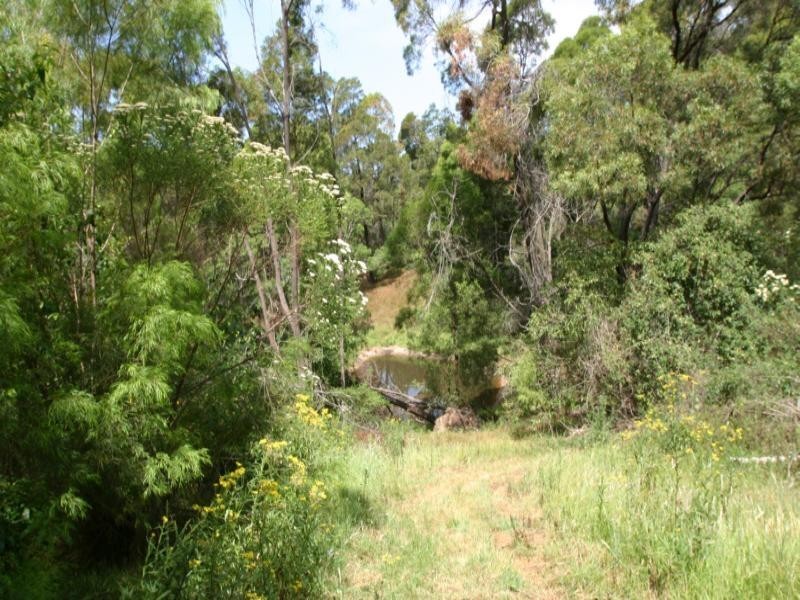 235 Ridge Road, Central Tilba NSW 2546