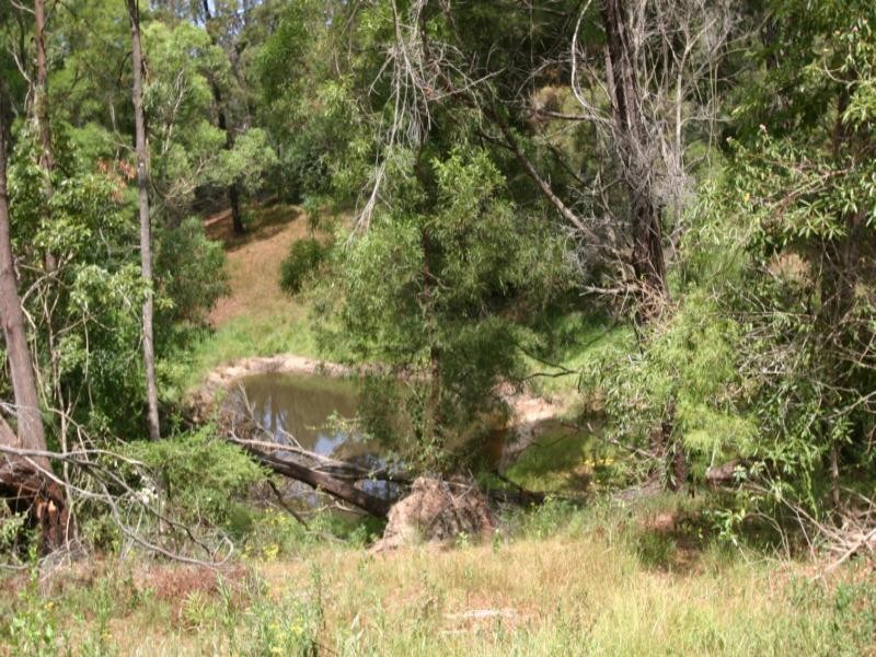 235 Ridge Road, Central Tilba NSW 2546