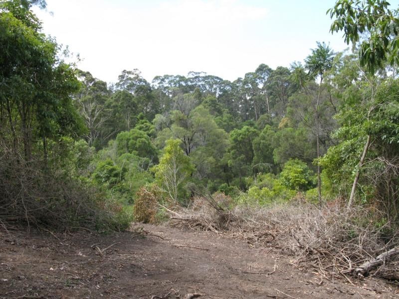 235 Ridge Road, Central Tilba NSW 2546