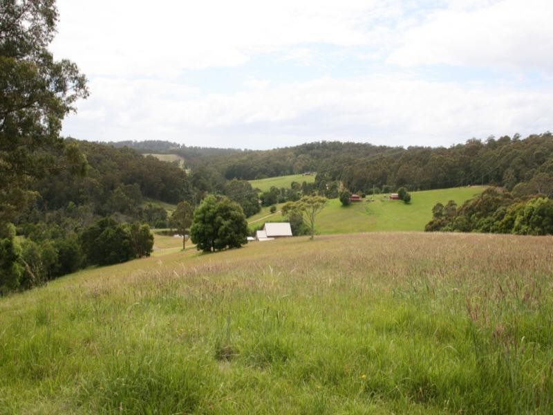 Central Tilba NSW 2546