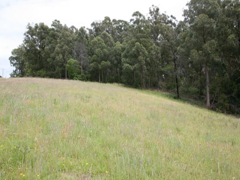 Central Tilba NSW 2546