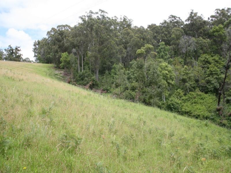 Central Tilba NSW 2546