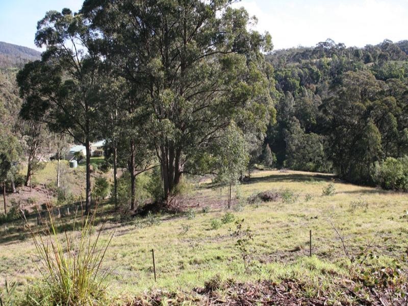 Central Tilba NSW 2546