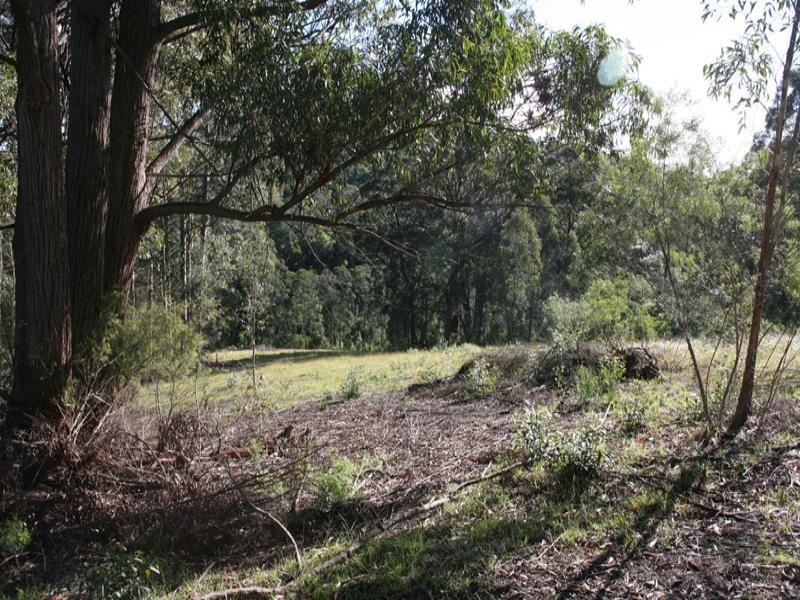 Central Tilba NSW 2546