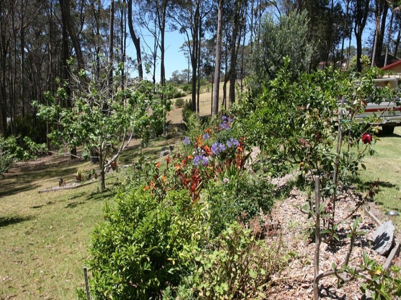 North Narooma NSW 2546