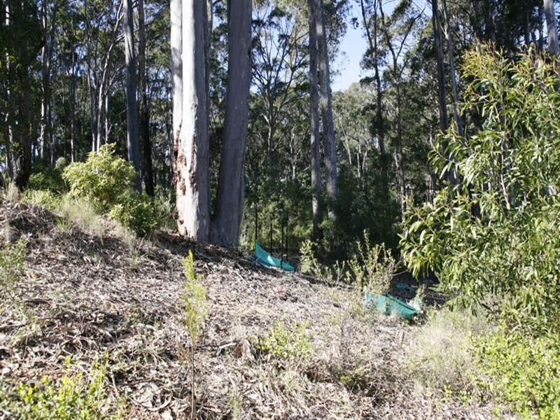 Lot 14 Gareth Avenue, Narooma NSW 2546