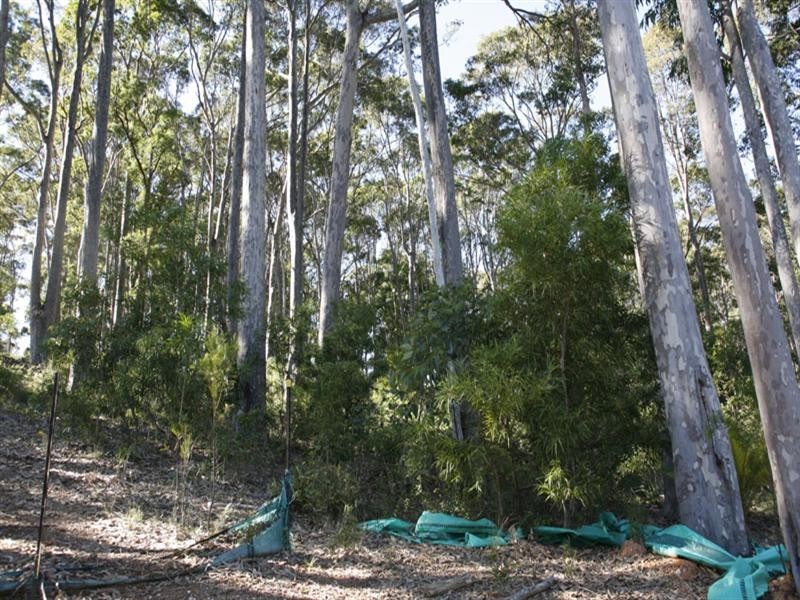 Lot 14 Gareth Avenue, Narooma NSW 2546