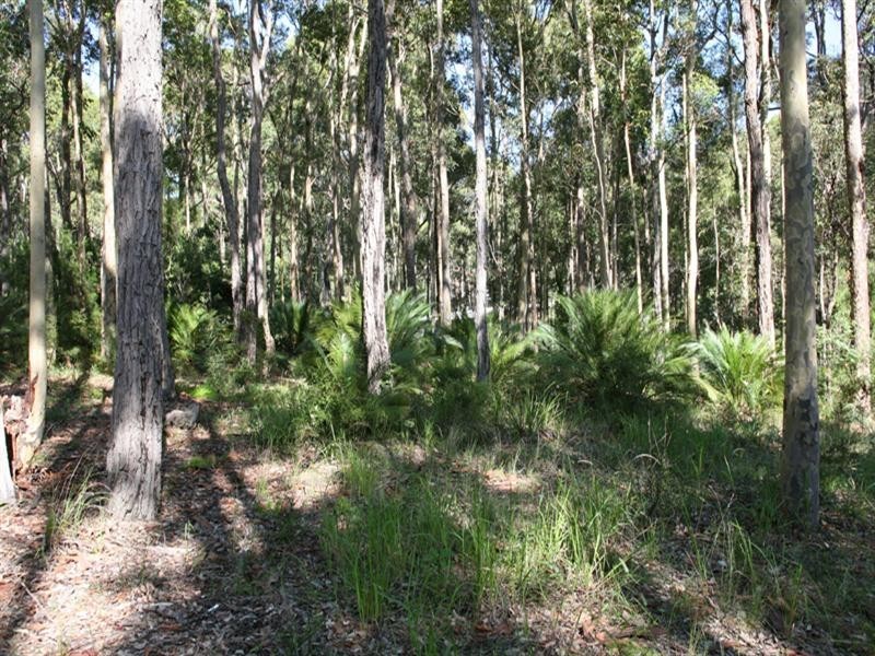 29 Maculata Circuit, Dalmeny NSW 2546