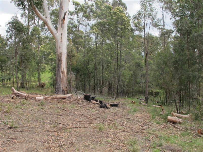 LOT 113 Lyrebird Place, Bodalla NSW 2545
