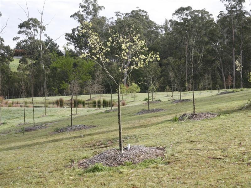 15 Bushlark Close, Bodalla NSW 2545