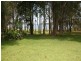 45 Myuna Street, Dalmeny NSW 2546