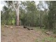 45 Lyrebird Place, Bodalla NSW 2545